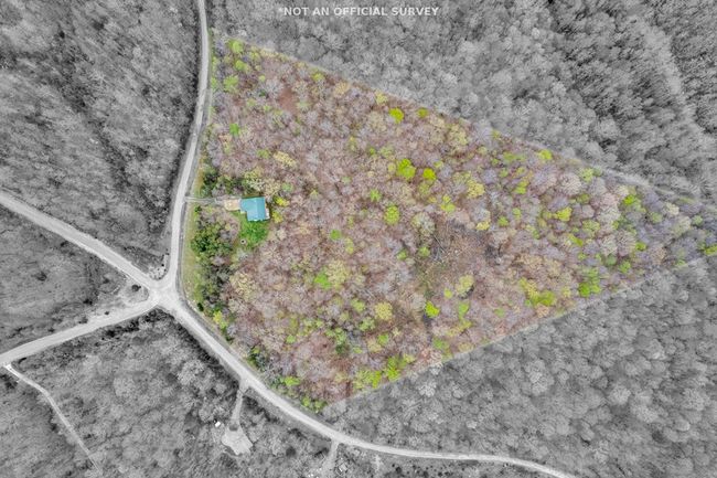 108 W Bobcat Ln, House other with 3 bedrooms, 2 bathrooms and 2 parking in Wilder TN | Image 36