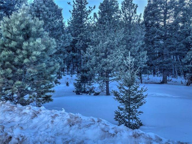 1174 Monarch Dr, Home with 0 bedrooms, 0 bathrooms and null parking in Cripple Creek CO | Image 14