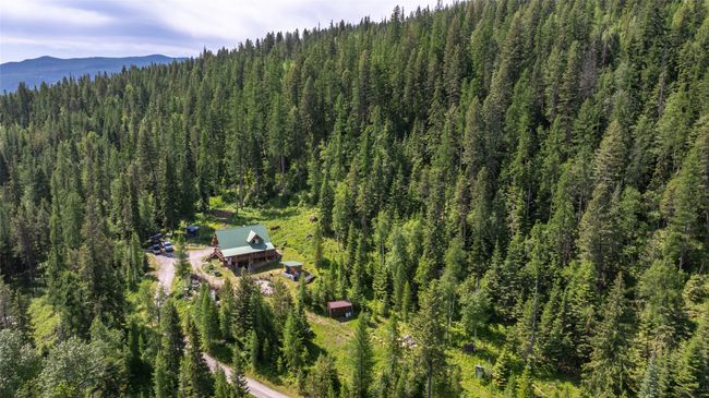 Aerial view of property and surrounding area featuring a forest and a mountainous background | Image 49
