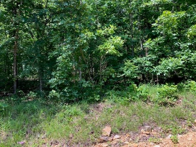 Lots 6 &amp; 7 Hillview Addition, Home with 0 bedrooms, 0 bathrooms and null parking in Mammoth Spring AR | Image 5