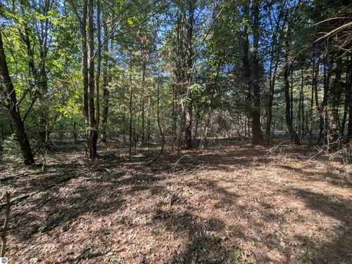 N/A N Forest Lake Drive, Alger, MI, 48610 | Card Image