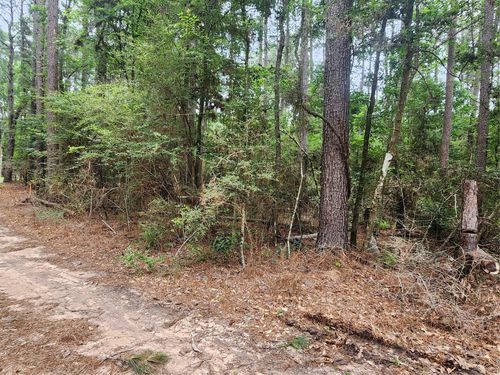 277 Long King, Livingston, TX, 77351-2180 | Card Image