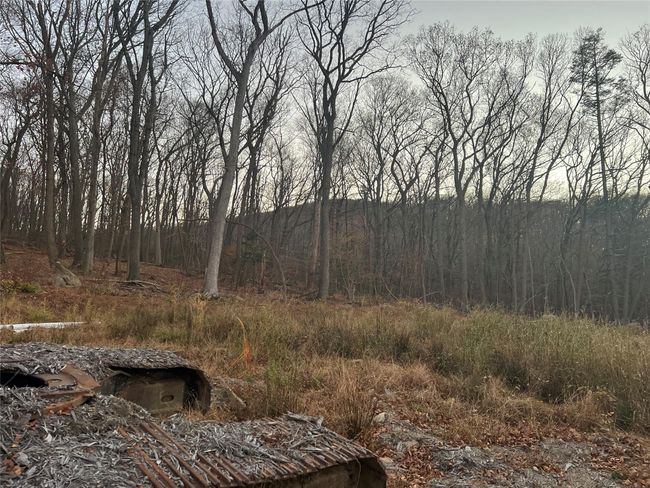 View of landscape | Image 4