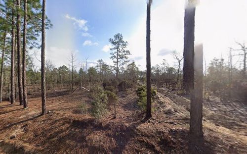 116 Tulip Ave, INTERLACHEN, FL, 32148 | Card Image