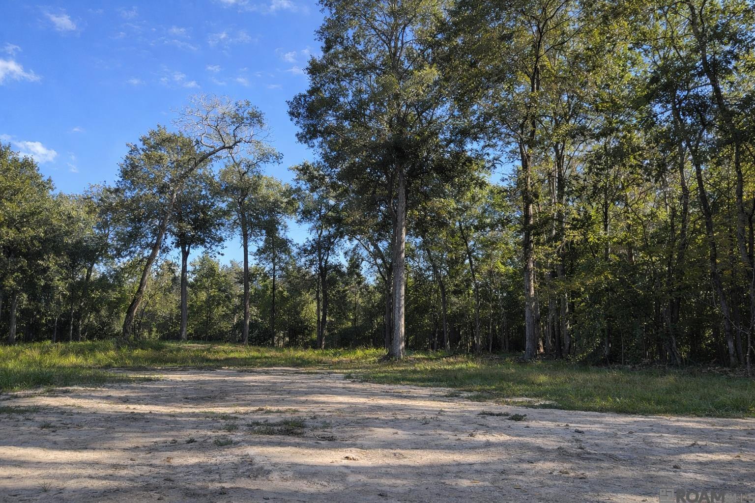 Land in Denham Springs 3