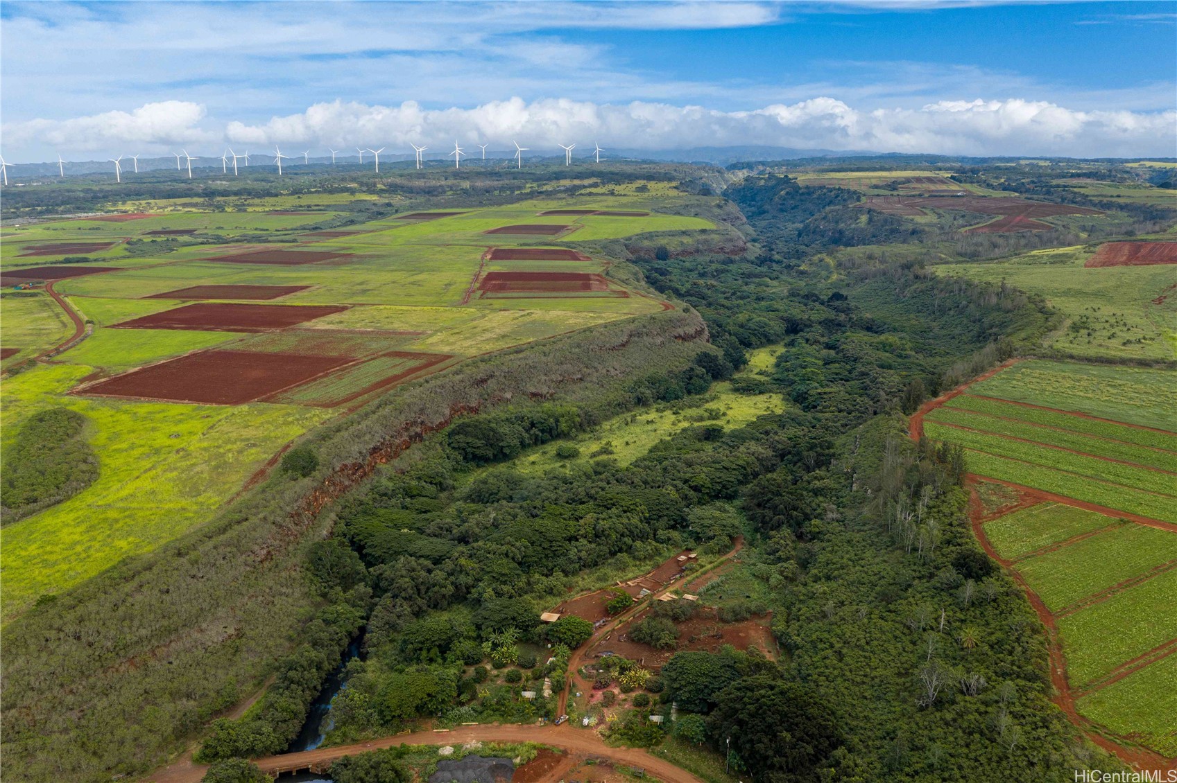 Land in Haleiwa 4
