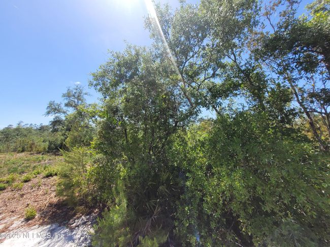 2155 State Road 40, Home with 0 bedrooms, 0 bathrooms and null parking in De Leon Springs FL | Image 60