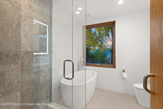 699 Eppley Dr, House other with 5 bedrooms, 8 bathrooms and null parking in Aspen CO | Image 32