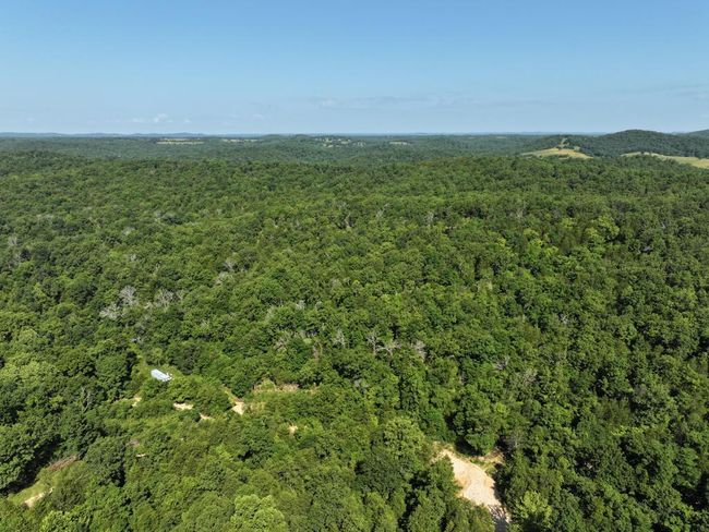 dji_fly_20250620_101952_0004_17504331173 | Image 42