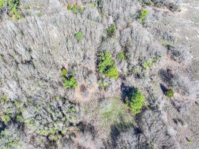 24948 W Interstate Highway 20, Home with 0 bedrooms, 0 bathrooms and null parking in Van TX | Image 16