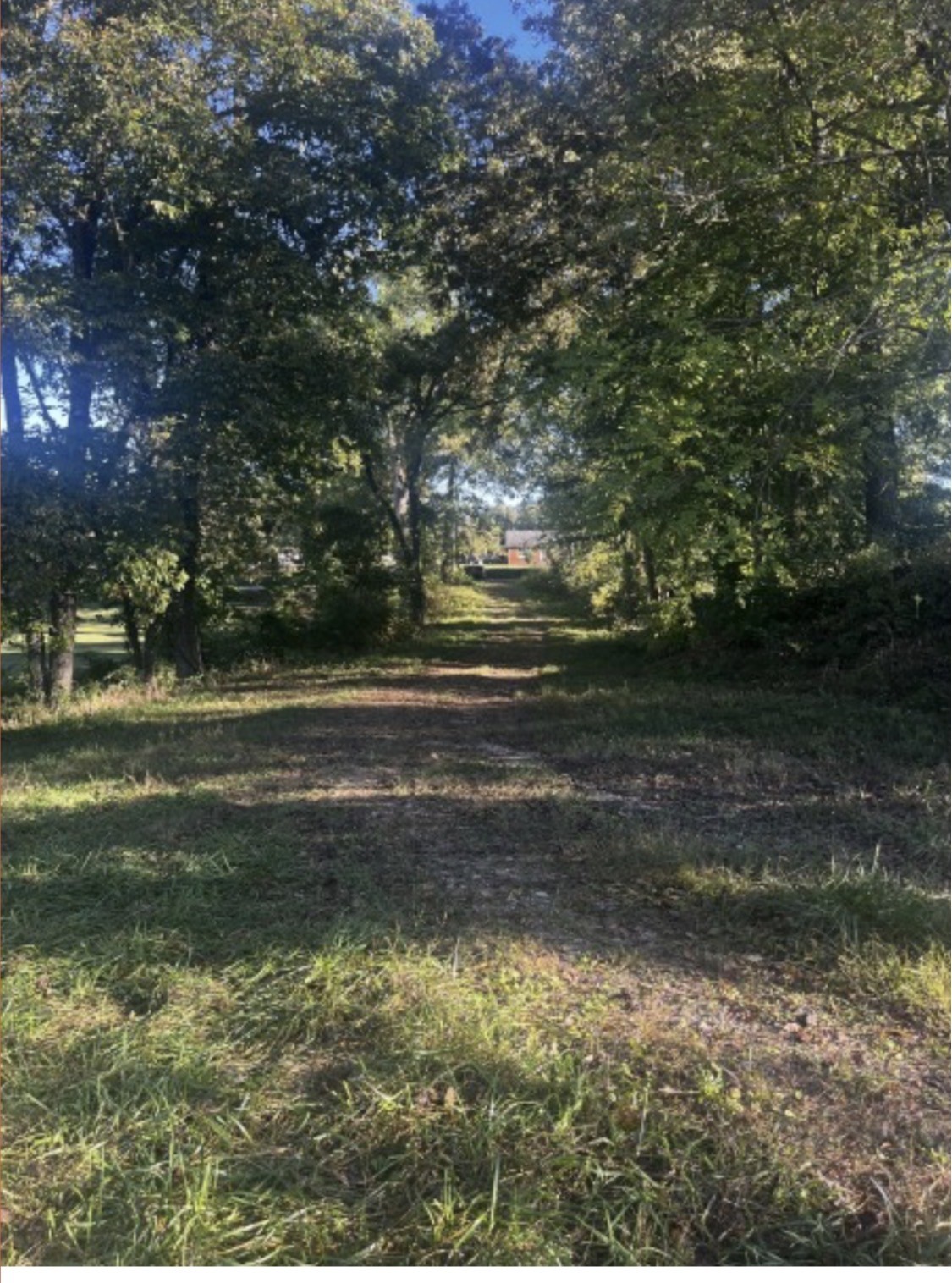 Land in Mc Minnville 4