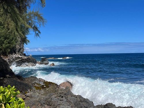 27-920 Old Mamalahoa Hwy, PEPEEKEO, HI, 96783 | Card Image