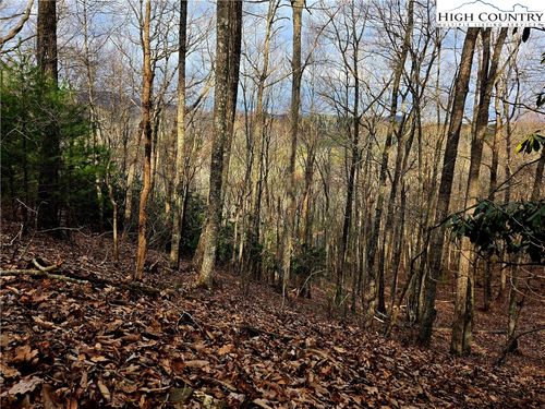 15 Riverstone Dr, Laurel Springs, NC, 28644 | Card Image