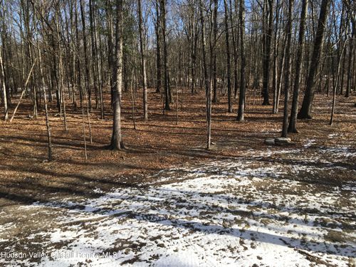 85 Jansen Rd, New Paltz, NY, 12561-3812 | Card Image