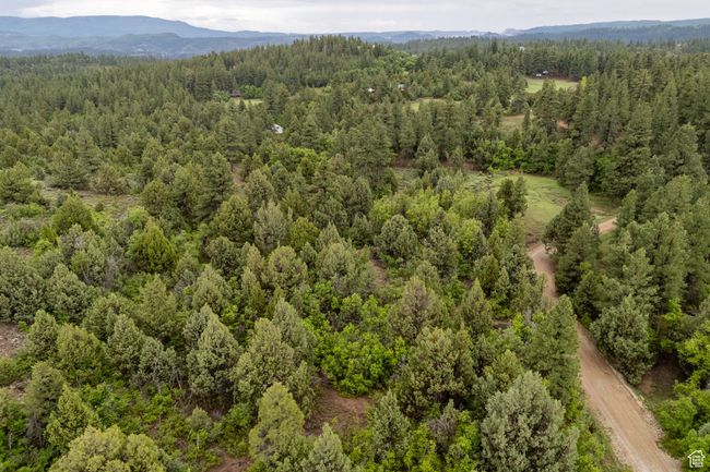 Bird's eye view of a forest and a mountain backdrop | Image 9
