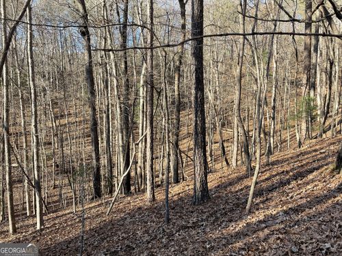 2458-2458 Garnet Dr, Ellijay, GA, 30540 | Card Image