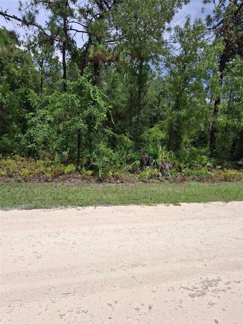 16026 Sheldrake Loop, BROOKSVILLE, FL, 34614 | Card Image