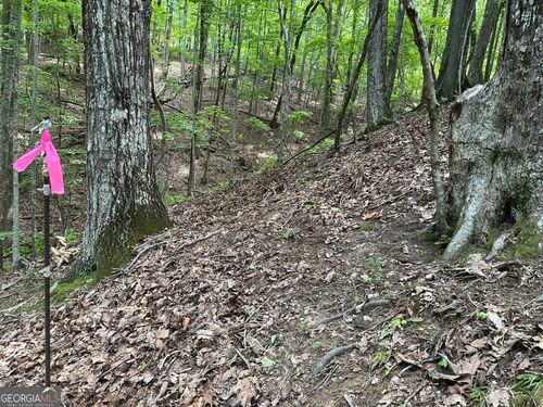 Lot 13 Picklesimer Mtn Rd, Morganton, GA, 30560 | Card Image