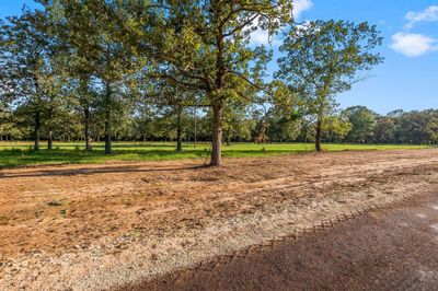 Lot 17 Alans Memorial Lane, Home with 0 bedrooms, 0 bathrooms and null parking in New Waverly TX | Image 3