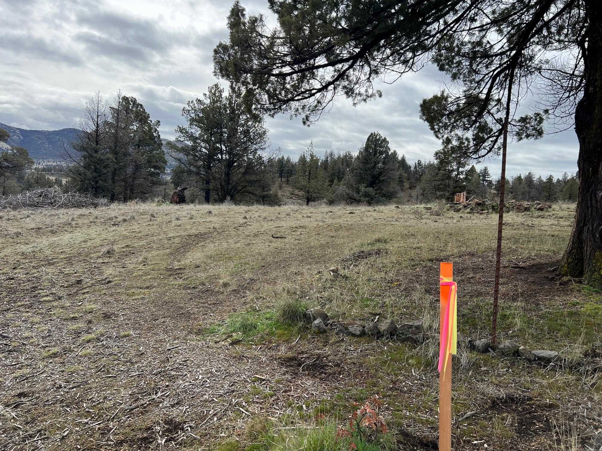 Land in Montague