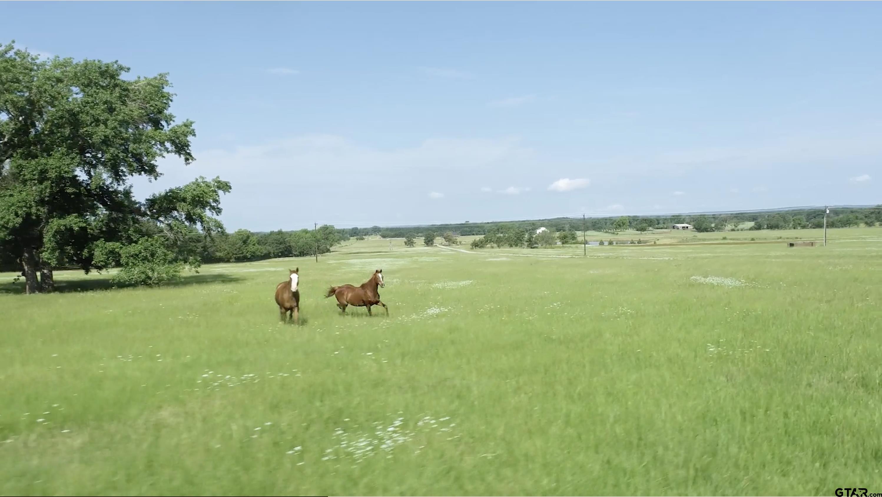 Land in Montalba 5