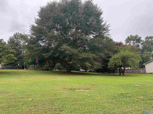 TBD Petty Ln, Brownsboro, AL, 35741 | Card Image