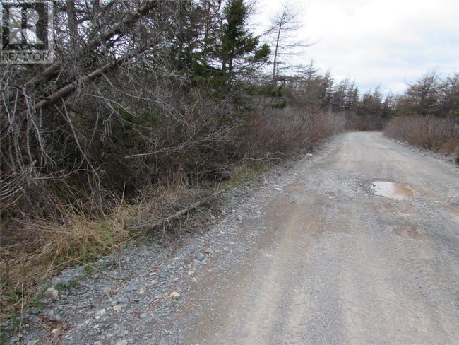 45 New Line Road, Home with 0 bedrooms, 0 bathrooms and null parking in Colliers NL | Image 9