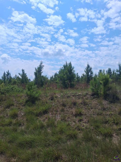 0 Abbeville Hwy, Eastman, GA, 31023 | Card Image