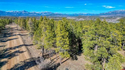 46 S Squaw Canyon Pl, Pagosa Springs, CO, 81147-8346 | Card Image
