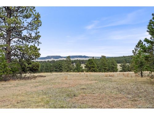 8653 Teacup Grv, Elbert, CO, 80106 | Card Image