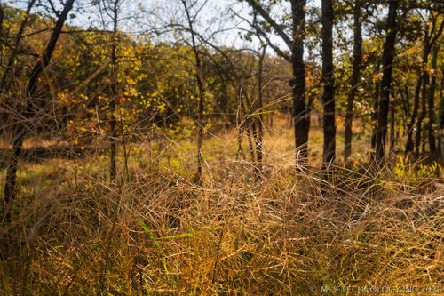 080 N 260 Rd, Beggs, OK, 74421 | Card Image