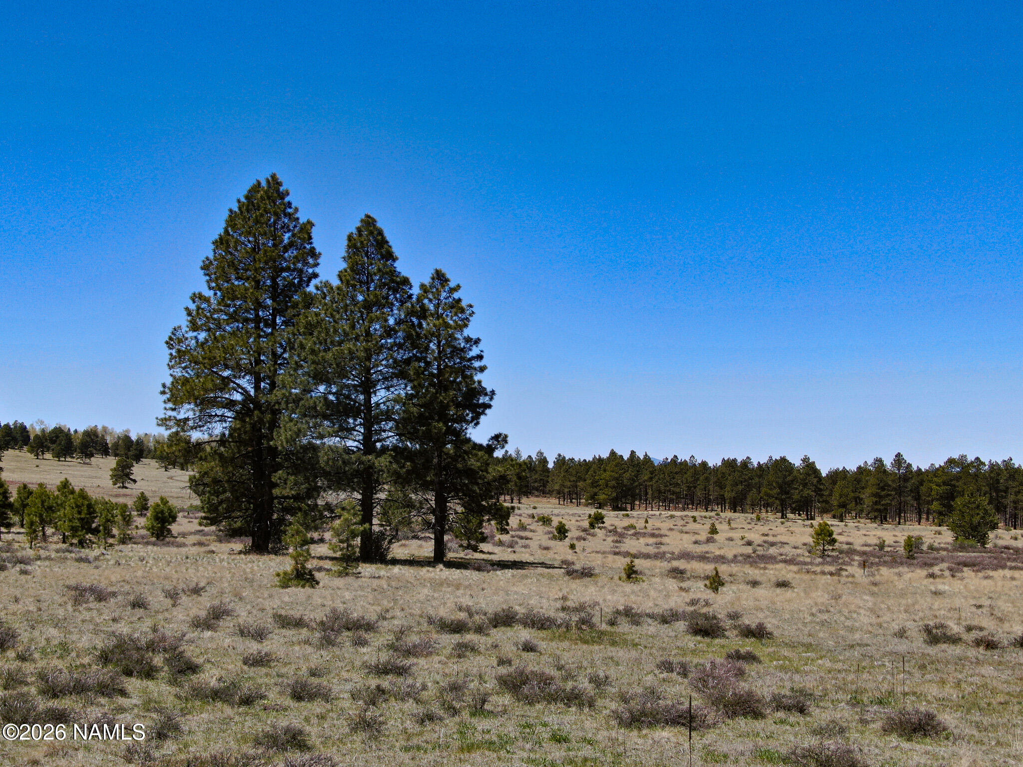 Land in Flagstaff 3