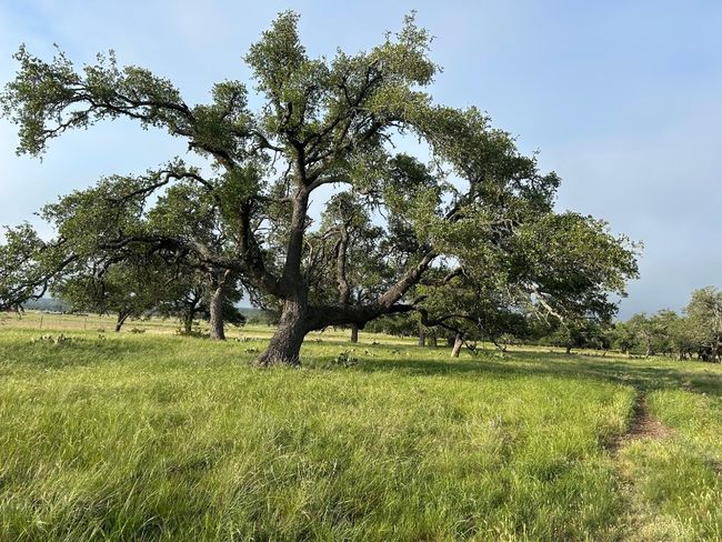 View of yard featuring a view of rural / pastoral area | Image 12