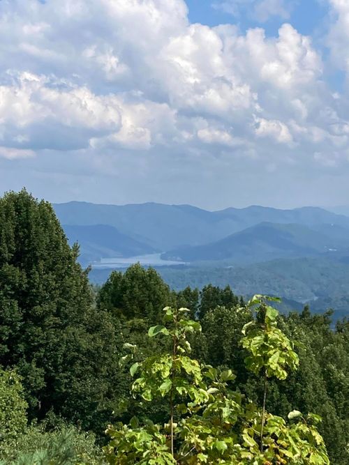1209 Mays Ridge Rd, Butler, TN, 37640-5916 | Card Image