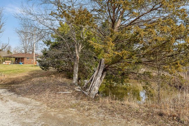 43 Joe Ridge Rd, Home with 3 bedrooms, 1 bathrooms and 1 parking in Celina TN | Image 36