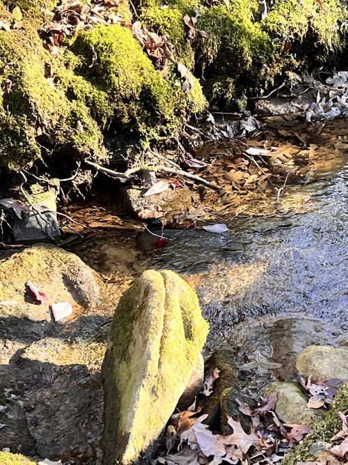 72 Lady Slipper Lane, Monteagle, TN, 37356 | Card Image