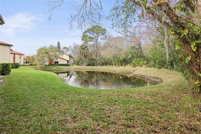 APT-15C - 1801 E Lake Rd, Condo with 3 bedrooms, 2 bathrooms and null parking in PALM HARBOR FL | Image 48