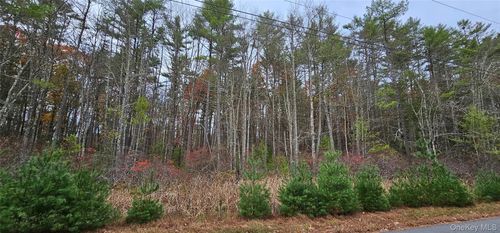 Lot 28 Summit Drive, Highland, NY, 12792 | Card Image