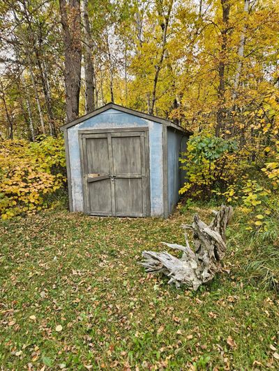 Shed | Image 3