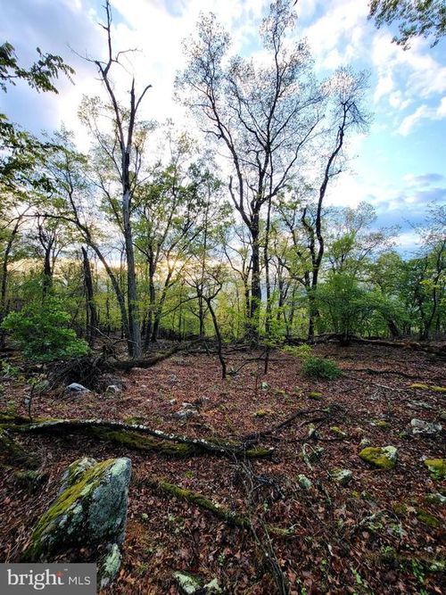 Lot 7 Justin Rd, GREAT CACAPON, WV, 25422 | Card Image