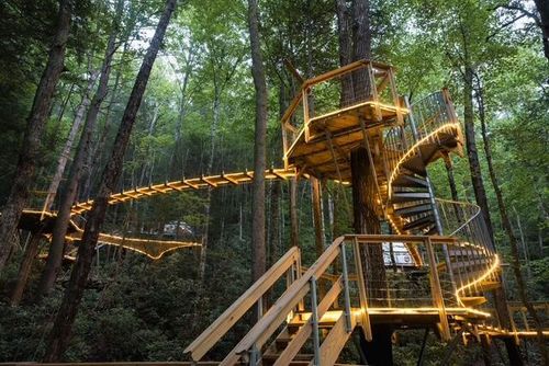 242 Cave Holw Road, Campton, KY, 41301 | Card Image