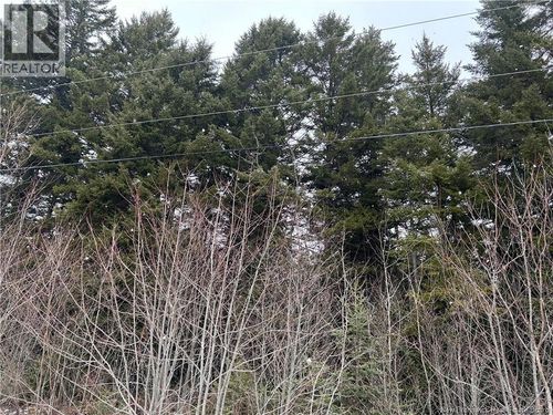 2 Backland Rd, Kingston, NB, E5N1E2 | Card Image