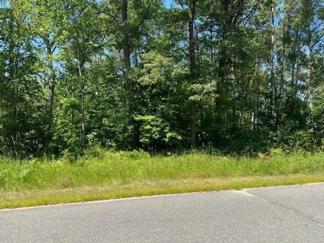 11 Scenic Overlook, Home with 0 bedrooms, 0 bathrooms and null parking in Breezy Point MN | Image 8
