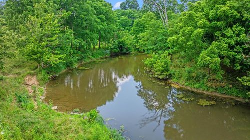 783 b Rutland Road, Cynthiana, KY, 41031 | Card Image