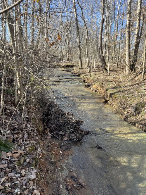 4061 Sawmill Rd, Woodlawn, TN, 37191-9085 | Card Image