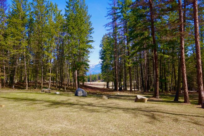 View of yard | Image 14