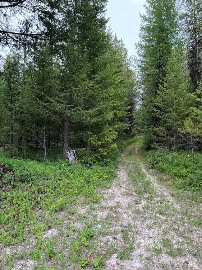 more open areas for future plans of the new owners | Image 93