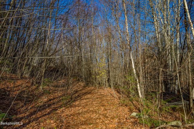 0 Goose Pond Rd, Home with 0 bedrooms, 0 bathrooms and null parking in Tyringham MA | Image 15