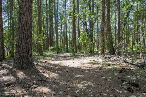 401 China Creek Rd, Williams, OR, 97544-9608 | Card Image