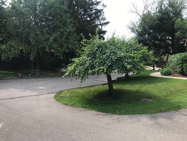 1885 Chipping Way, Condo with 4 bedrooms, 3 bathrooms and null parking in Bloomfield Hills MI | Image 20